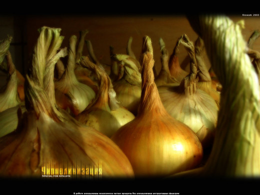 392518 (a): :1024x768